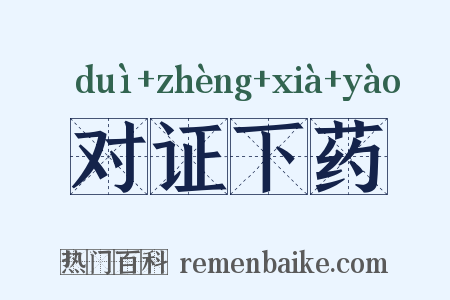 对证下药是什么意思的图片